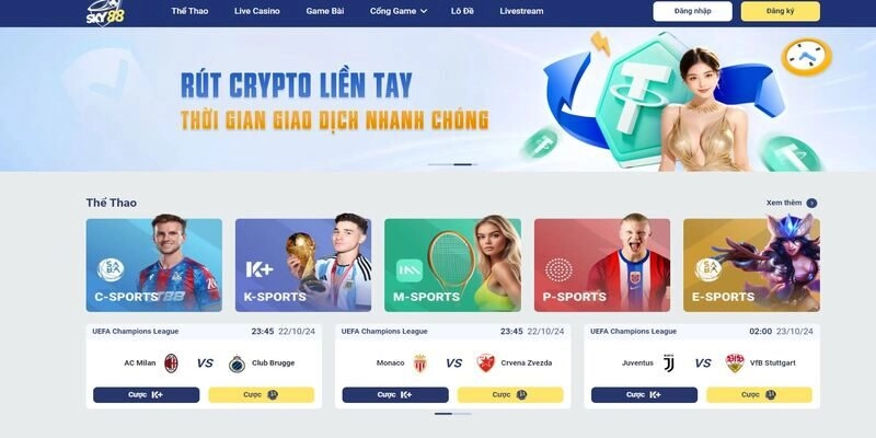 Hướng dẫn từng bước đăng ký làm đại lý Sky88