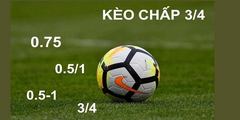 Các loại cược Handicap phổ biến